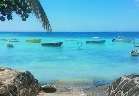 甲流乙流还要流行多久?国家卫生健康委最新解答!