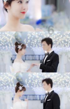 张卫健和老婆没有孩子,为什么他们还可以如此幸福?知识星球平台-探索知识的殿堂