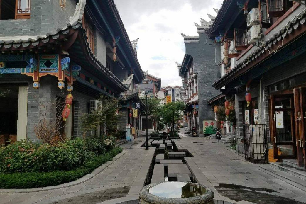 小乌龟逃亡记